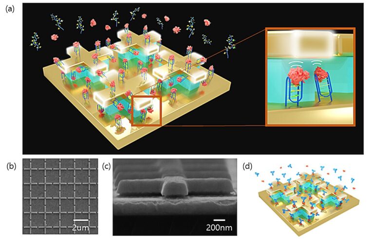 Novel biosensor could enable fast, precise disease diagnosis and prevention