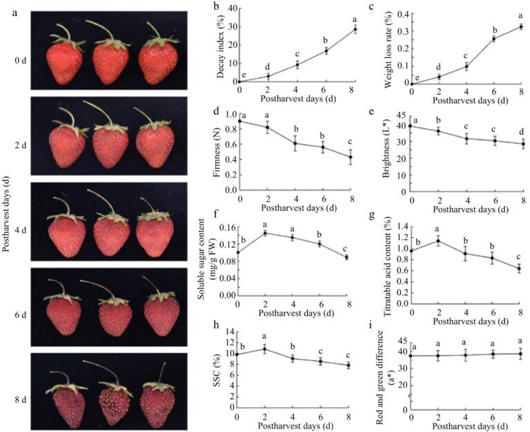 Hormonal interplay key to extending shelf life of ‘Benihoppe’ variety