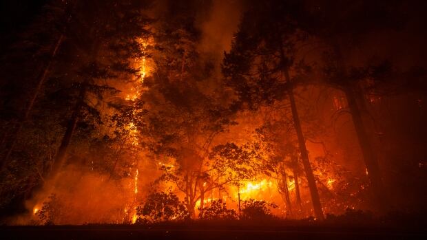 4,000 firefighters battle California’s wide-ranging Park Fire