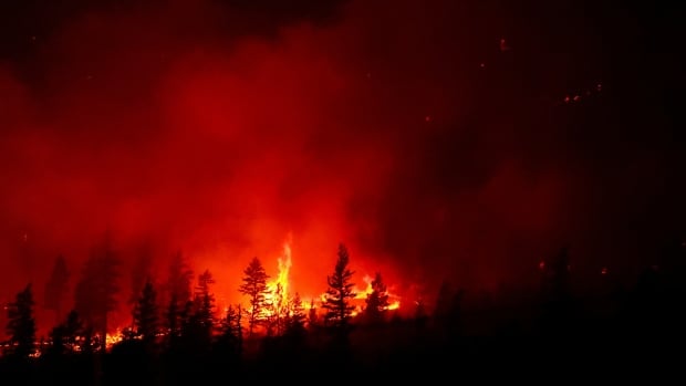 District of Wells under evacuation order as B.C. heat wave fans wildfires