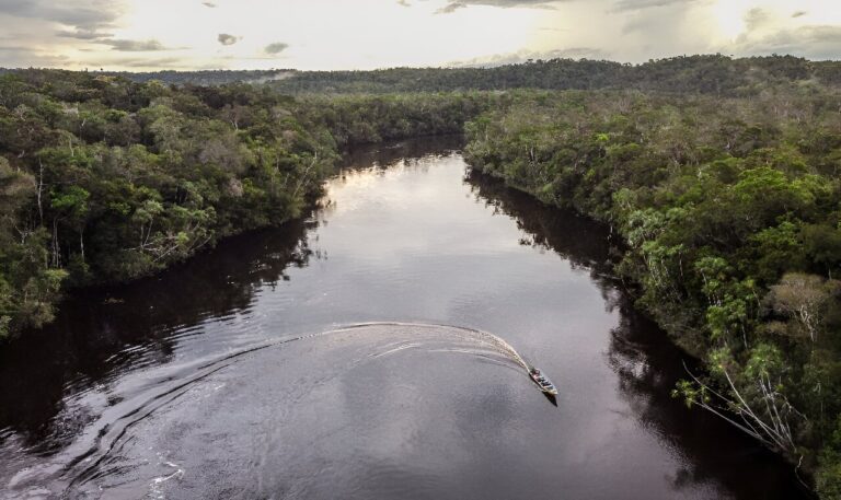 Carbon credits ‘ineffective’, says corporate climate watchdog