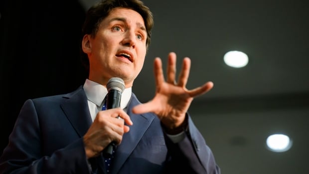 As Trudeau confronts an anxious caucus, some Liberals say he needs to act swiftly