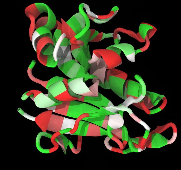 Energy landscape theory sheds light on evolution of foldable proteins