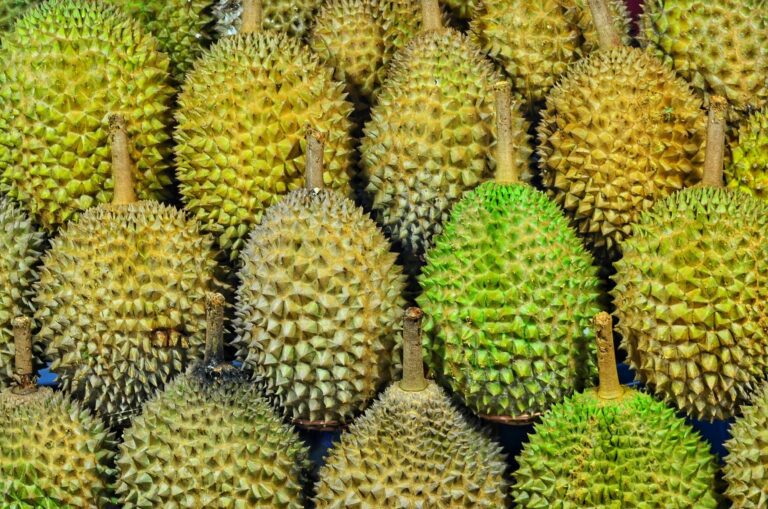 Why the stinky durian really is the ‘king of all fruits’