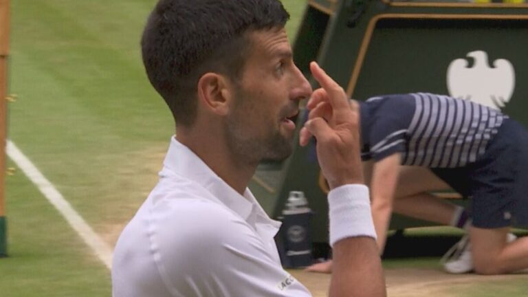 Novak Djokovic mocks trolling fan with fake tears as he qualifies for Wimbledon final