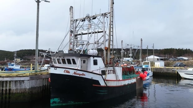 Missing N.L. fishing crew found safe, returning home