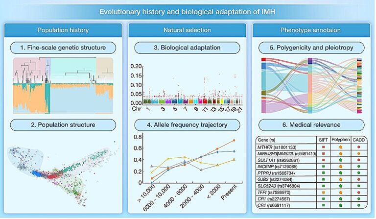 Research team reconstructs evolutionary history and biological adaptation of Han Chinese people on the Mongolian Plateau