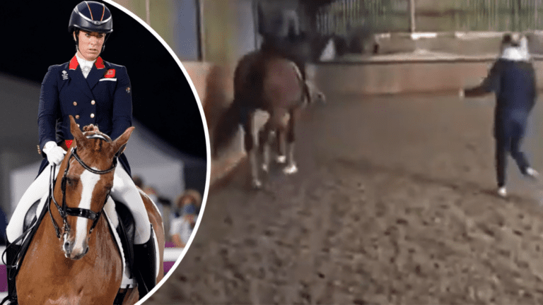 Video shows dressage star Charlotte Dujardin repeatedly whipping horse