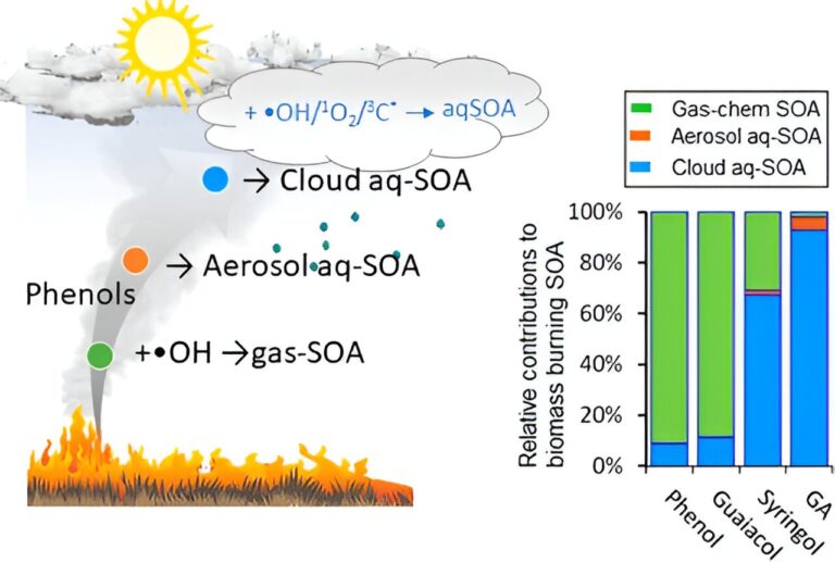 Gases from burning biomass react within clouds, forming secondary organic aerosols