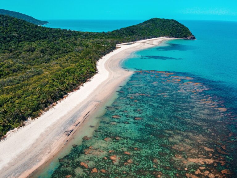 Surveys reveal vast mangrove damage along Great Barrier Reef and restoration hotspots