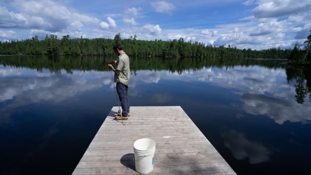 Invasive fish species dumped in Manitoba water bodies disrupting ‘very delicate’ ecosystems: fisheries manager