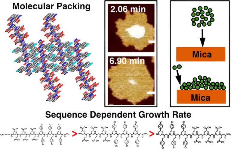 The influence of peptoid sequence on the mechanisms and kinetics of 2D assembly