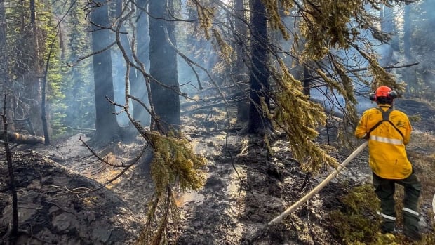 Wildfire threatening Jasper National Park and town prompts evacuation order