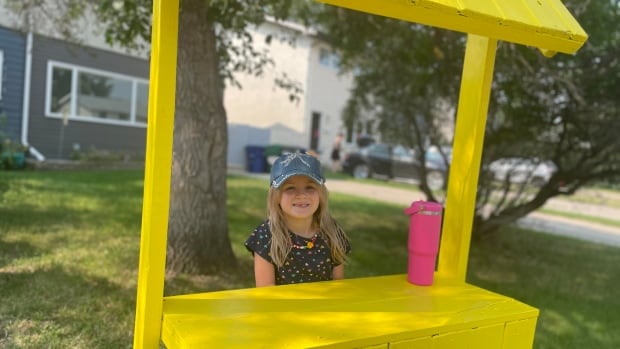 ‘They were mean to me’: 7-year-old Saskatoon girl describes lemonade stand robbery