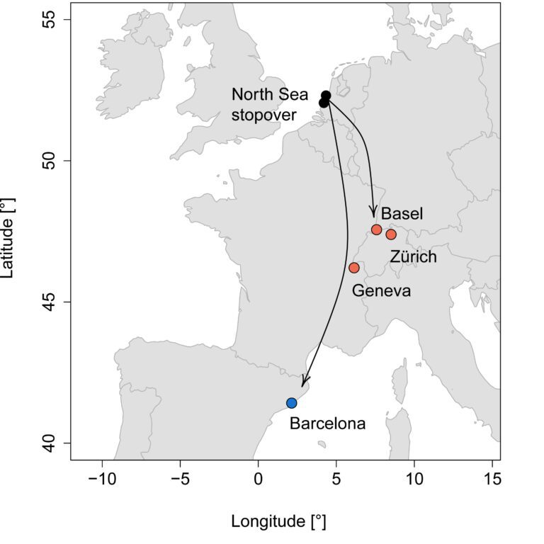 Starlings’ migratory behavior found to be inherited, not learned