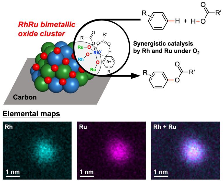 New catalysts enable greener ester synthesis