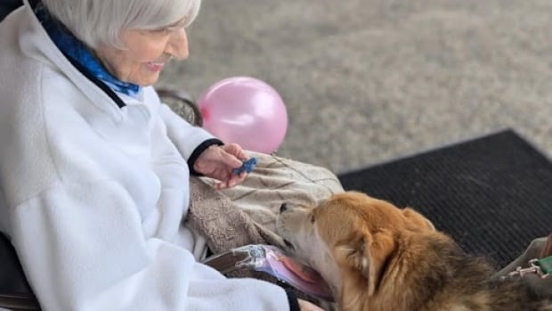 Dozens of Whitehorse pups parade for dog-lover’s 90th birthday