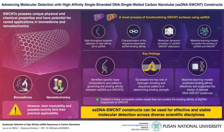 Researchers explore interplay between high-affinity DNA and carbon nanotubes