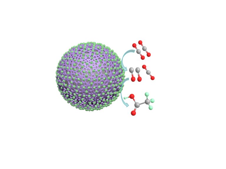 Reducing carbon dioxide to acetate with a polyaniline catalyst coated in cobalt oxide nanoparticles