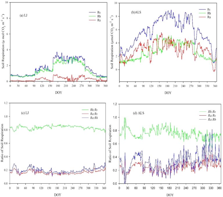 Researchers evaluate impact of warming on soil respiration in different ecosystems