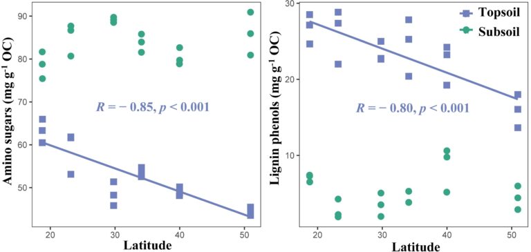 Study reveals latitude patterns, controlling factors of microbial residues and lignin phenol accumulation in forest soil