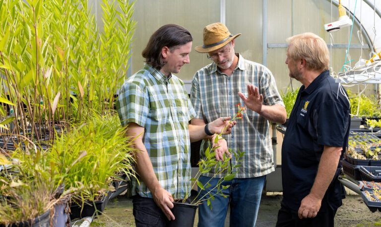 Researchers work to change perception of weeds in Georgia