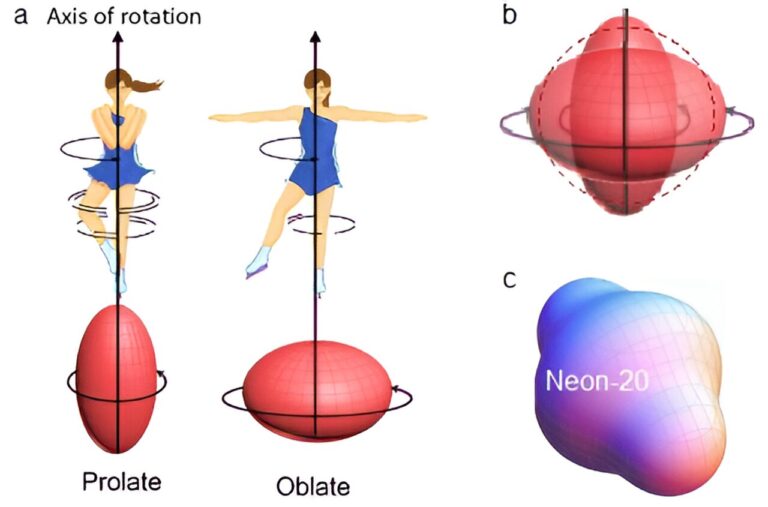 Scientists resolves a long-debated anomaly in how nuclei spin