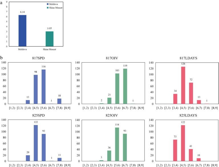 A novel plasmopara viticola resistance locus discovered in ‘Moldova’ grapes