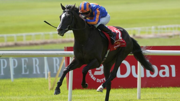 Auguste Rodin: Ballydoyle likely to consider Japan Cup for Royal Ascot hero | Racing News