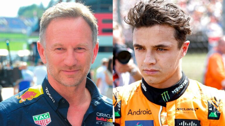 Red Bull team principal Christian Horner suggests McLaren should have let Lando Norris win Hungarian Grand Prix | F1 News