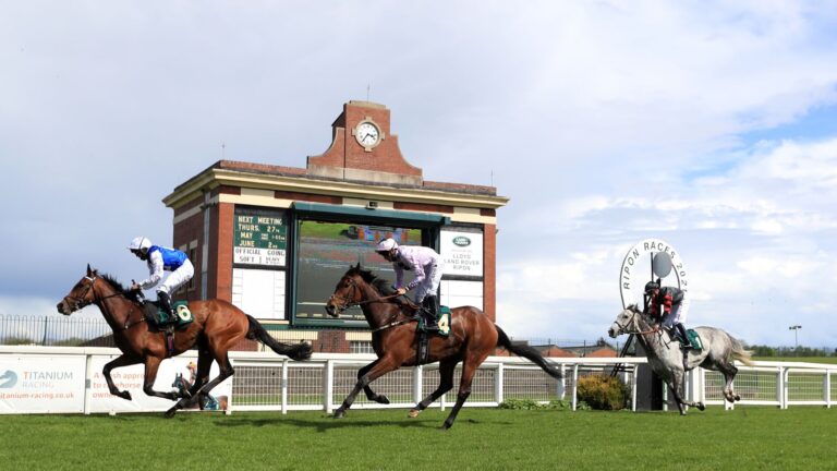 Today on Sky Sports Racing: Ripon takes centre stage on Saturday | Racing News