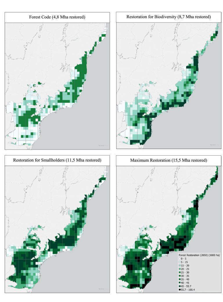 Smallholder farmers, efficient ranching practices critical to meet restoration targets in Brazil’s Atlantic Forest