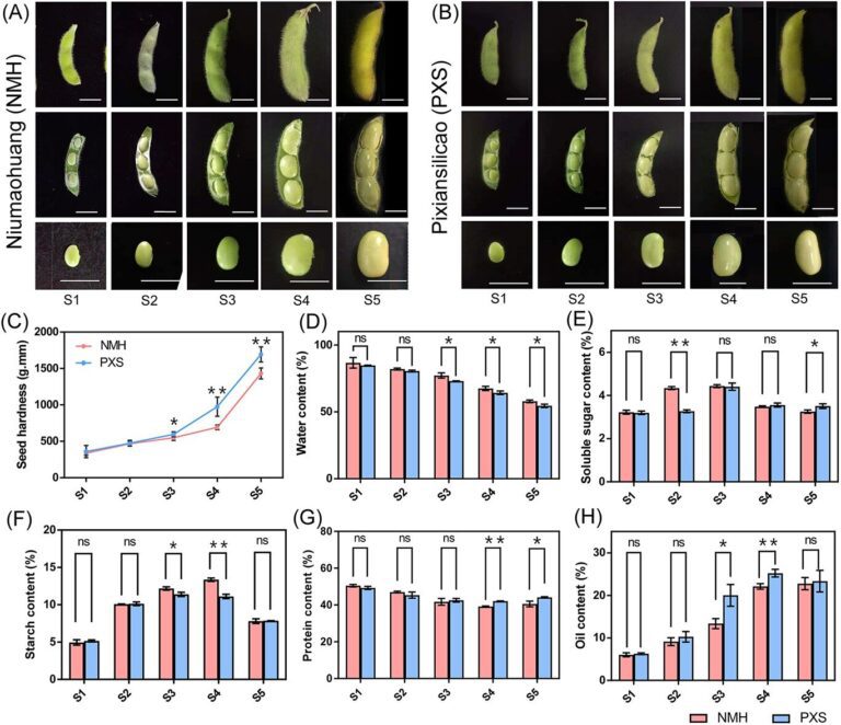 Key genes and networks uncovered