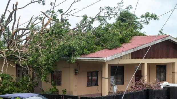 Destruction from Hurricane Beryl a result of climate inaction, says one Caribbean PM