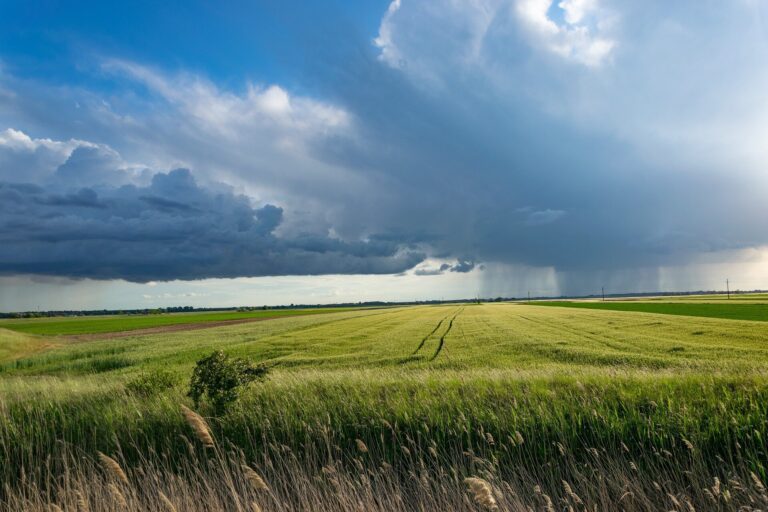 Revealing the influences on La Niña and El Niño weather conditions