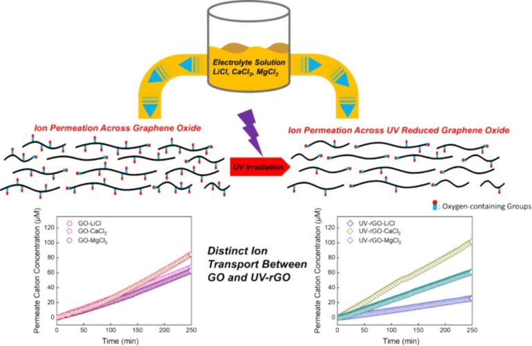 Surface oxygen functionality controls selective transport of metal ions through graphene oxide membranes