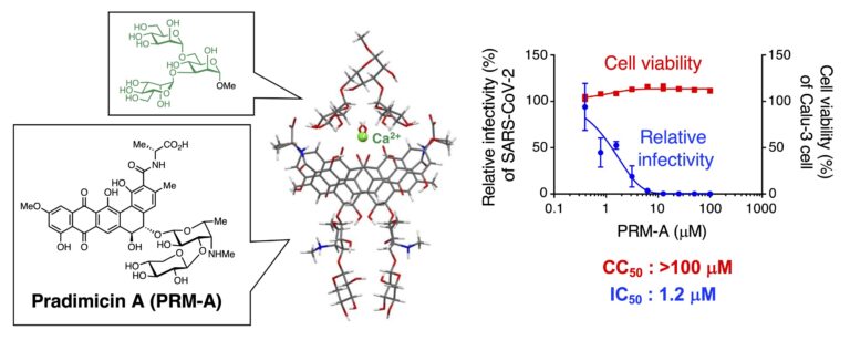 Exploring the molecular basis of how pradimicin A binds to viral N-glycan, a potential SARS-CoV-2 entry inhibitor