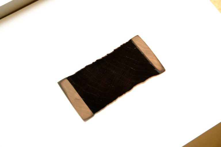 Newly created super-black wood can improve telescopes, optical devices and consumer goods