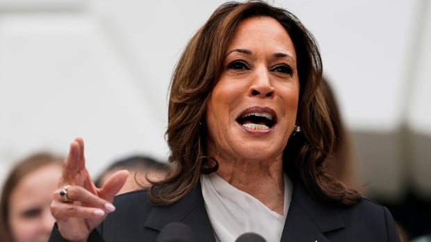 Here’s where Kamala Harris stands on key issues in upcoming presidential election