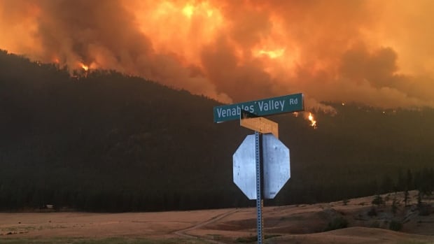 Wildfires burn across B.C. amid hot, dry weather and lightning