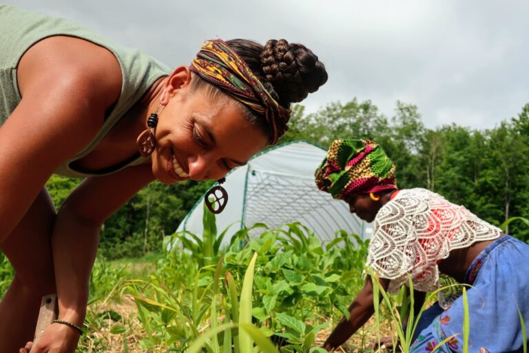 Why the US food system needs agroecology