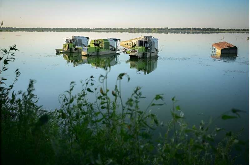 After a dyke burst last summer near the village of Mahmudia, swathes of the delta once drained for farmland were submerged again, creating the region's second-largest lake and a paradise for the region's battered biodiversity