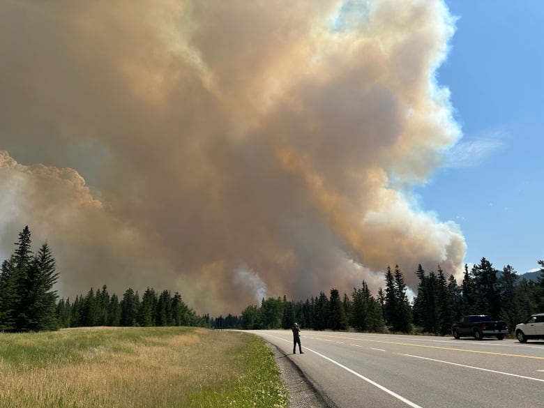 A person against a large smoke cloud coming from a forest.