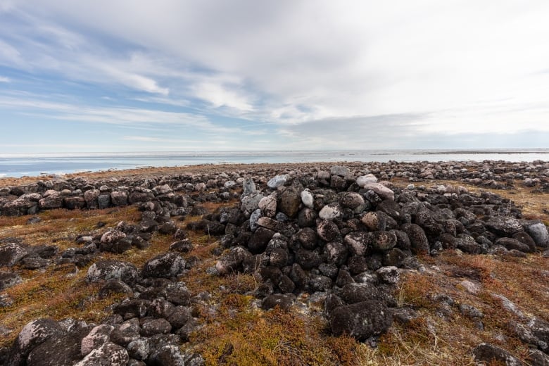 Piles of rocks on grass.