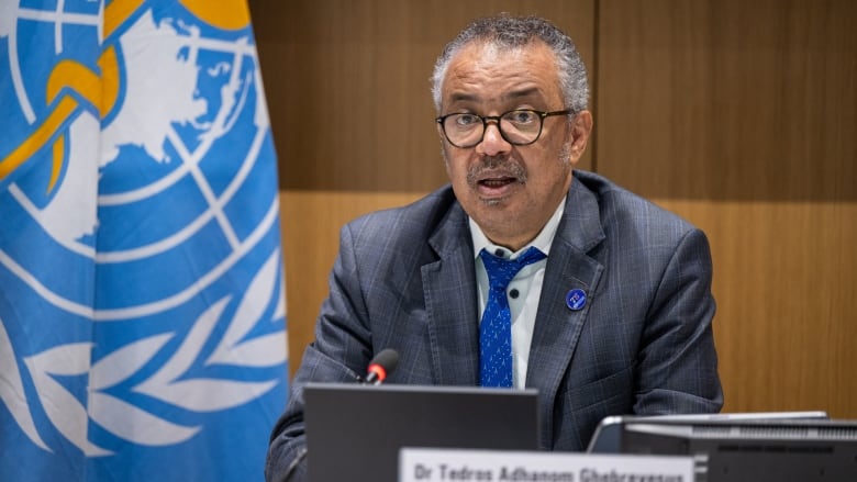 World Health Organization director-general Dr. Tedros Adhanom Ghebreyesus at a committee meeting in August 2024.