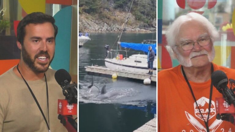 WATCH | Father and son describe shock as orcas come within touching distance in West Vancouver