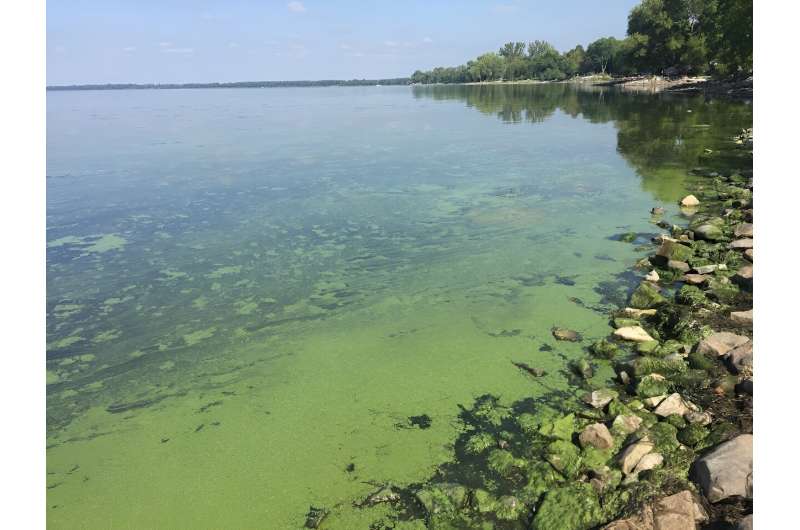 Understanding how human activity impacts zooplankton is essential for managing and protecting lakewater