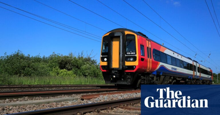 ‘Shocking experiences’: disabled people describe UK transport failures | Transport