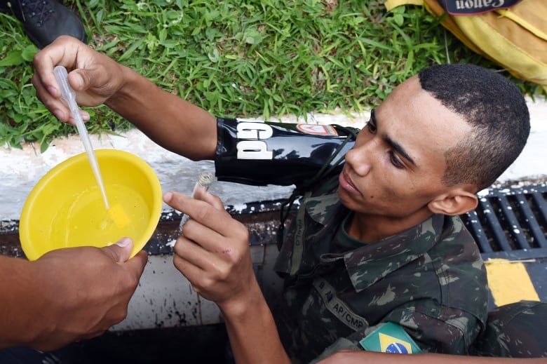 A member of the Brazilian armed forces looks for larvae of the Aedes aegypti mosquito, which transmits dengue and Chikungunya fever and Zika virus, at a school in Brasilia, in 2016.