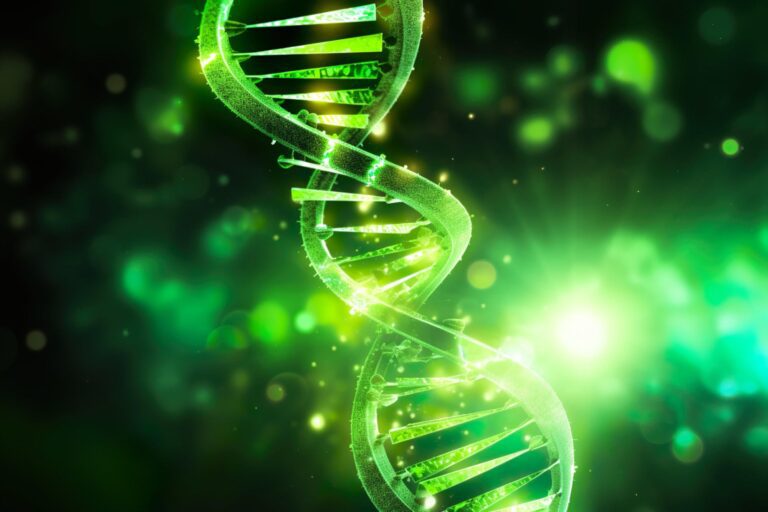 Unlocking the Secrets of DNA: New Genetic Sensor Discovered